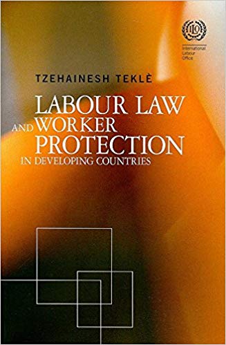 Labour Law and Worker Protection in Developing Countries